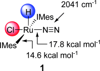 Unusually Strong Binding of Dinitrogen to a Ruthenium Center