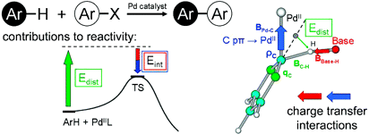 Analysis of the Concerted Metallation-Deprotonation Mechanism in Palladium-Catalyzed Direct Arylation Across a Broad Range of Aromatic Substrates